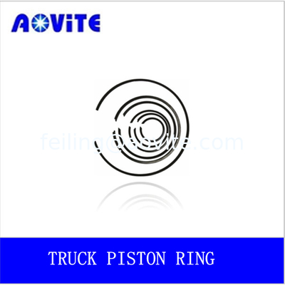 TEREX TRUCK PISTON RING /O RING /SEAL